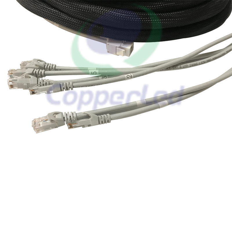 Variant image