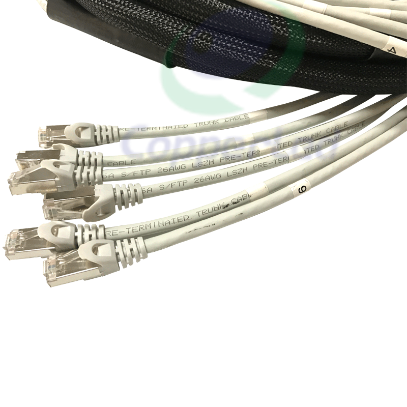 Variant image