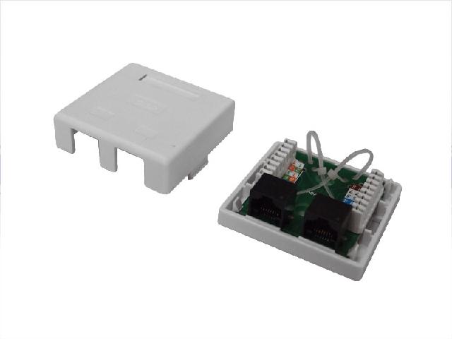 Wall socket 2Port with UTP Cat.5e PCB Module  (ar-olub-02)