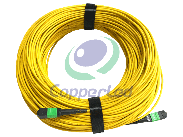 Fiber Optic Patch cord MPO/APC-MPO/APC 12 fibers Singlemode  (ar-pmpmp-sm-3)